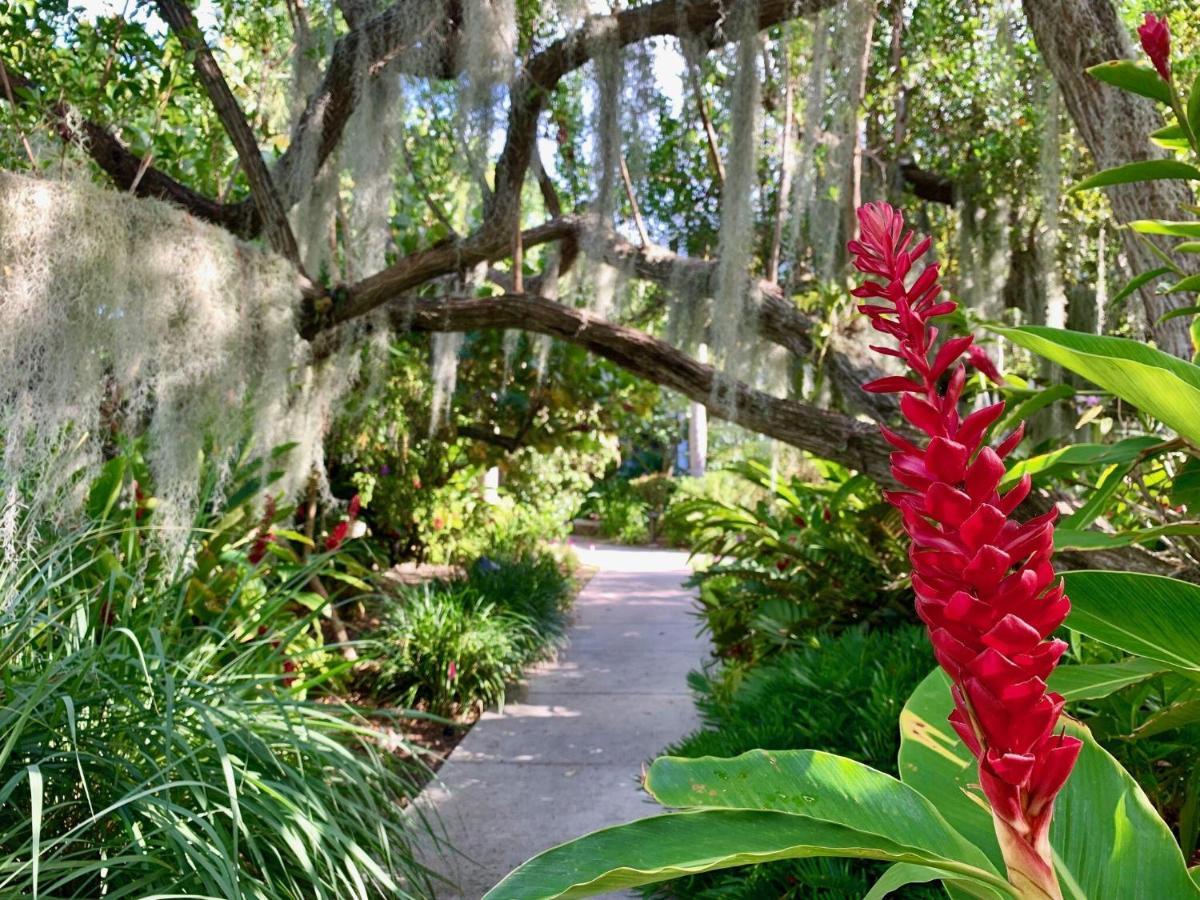 Willa Leaward Isle Island Retreat Key West Zewnętrze zdjęcie